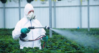 Fungicidas y su importancia en la agricultura