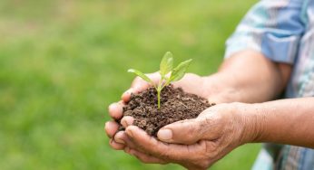 ¿Conoces los tipos de fertilizantes y cuáles son sus usos?